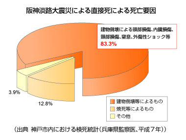 阪神淡路大震災による直接死による死亡要因